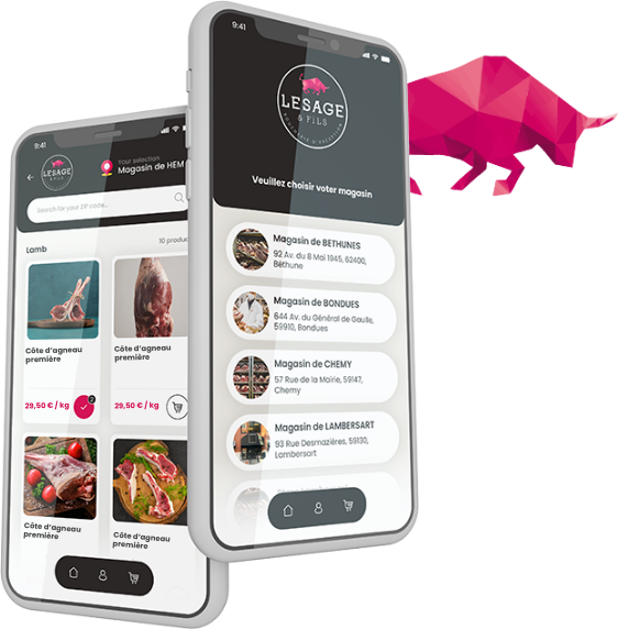 Aperçu de l'application mobile